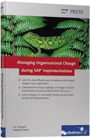Managing  Organizational Change During SAP Implementations