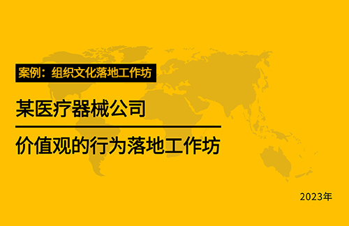 案例：组织文化落地工作坊【某医疗器械公司价值观的行为落地工作坊】